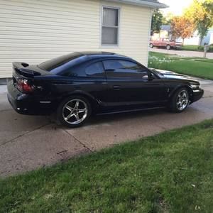 Meet your Posher, Brodie